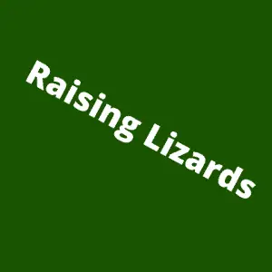 Raising Lizards