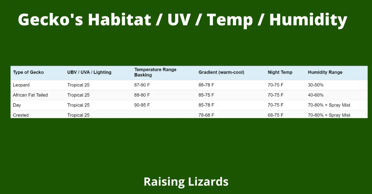 Gecko's Habitat / UV / Temp / Humidity